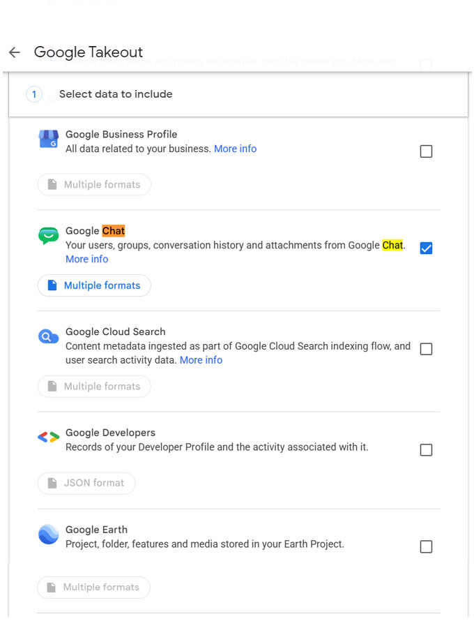 export google chat